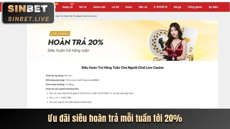 Hoàn trả hàng ngày VNMON